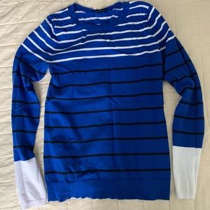 Express, Medium, Blue sweater
